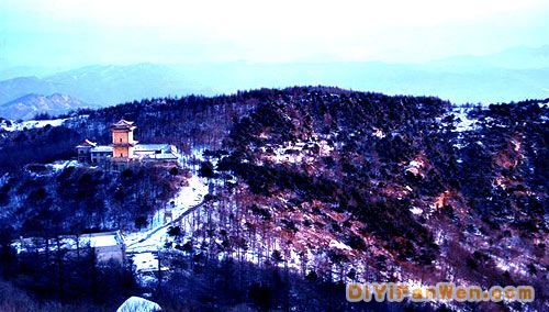 泰山玉樹瓊花雪景圖片