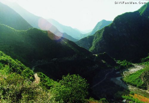 白水江國家級自然保護區圖片