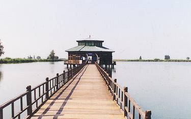 洪湖藍田生態園圖片
