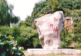 國色牡丹園圖片