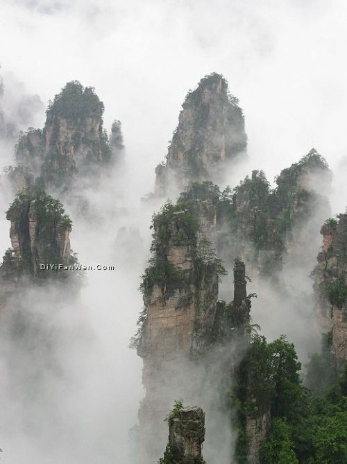 天子山風情圖片