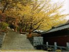 花果山
