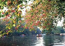 流花湖公園圖片
