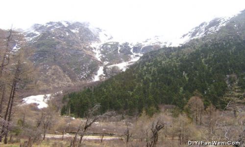 四川阿壩畢棚溝圖片