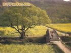 洞庭西山植里古村