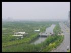 上海世紀公園