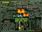 三八節宣傳板報