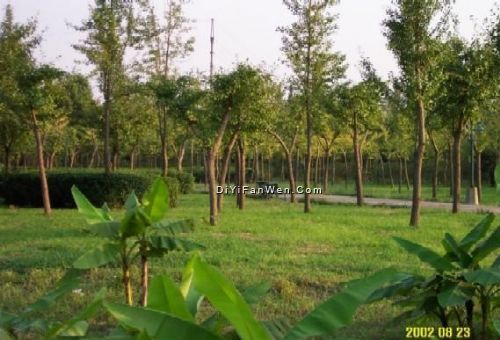 共青森林公園圖片