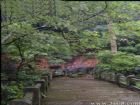 江西廬山