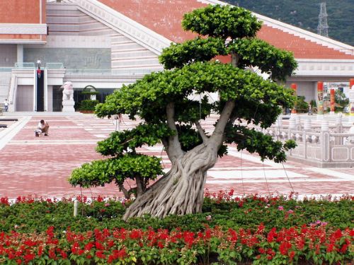 泉州閩台緣博物館圖片