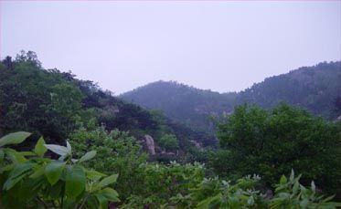 槲樹灣旅遊風景度假區圖片