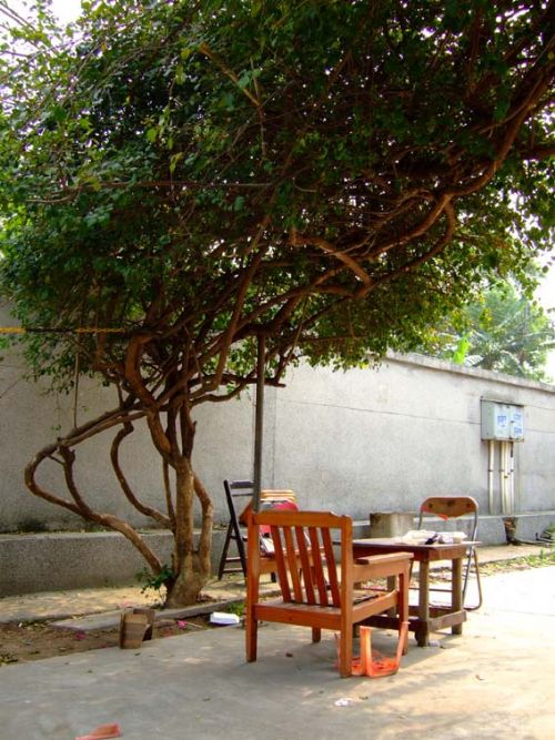 廣州黃埔龍頭山公園圖片