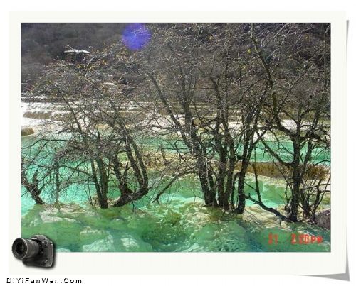 黃龍圖片