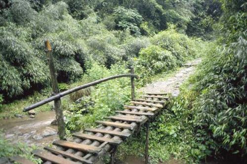 四川青城山圖片