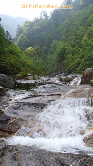 黃山猴谷圖片