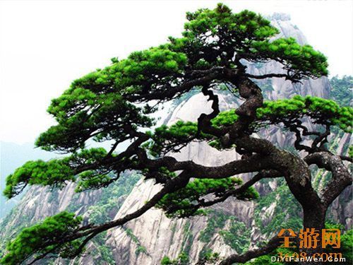 長白山圖片