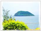 林進嶼