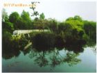 花溪公園