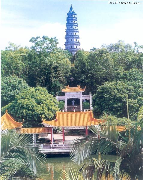 青秀山圖片