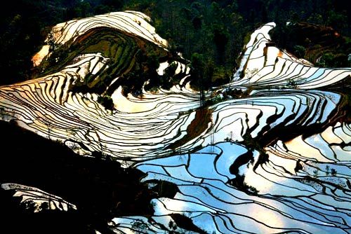 雲南元陽梯田圖片