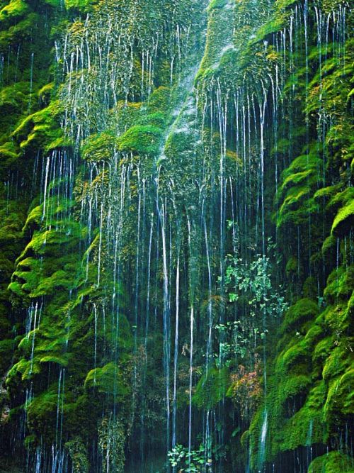 本溪水洞圖片