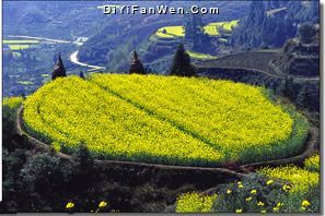 南華山圖片