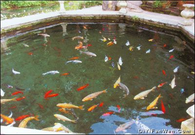 白邑黑龍潭旅遊區圖片