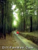 佘山國家森林公園東佘山園圖片
