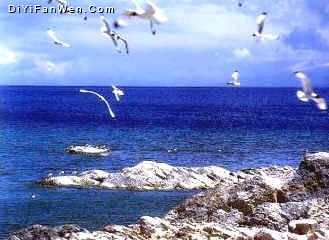 青海湖圖片