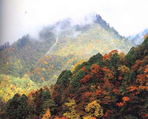 西嶺雪山圖片