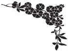 手抄報花邊：手抄報花邊圖片