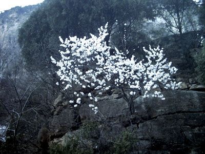 天桂山圖片
