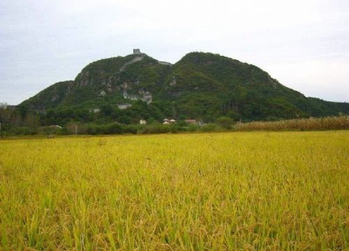 虎山長城圖片