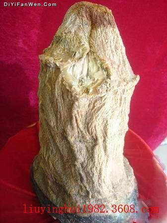 甘肅酒泉博物館圖片