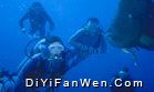 水族館圖片