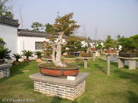 鮑家花園圖片