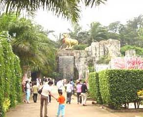 金牛嶺公園圖片