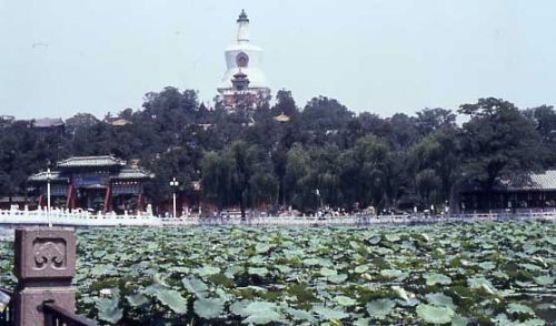 北海公園圖片