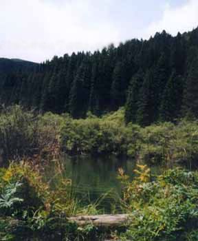 龍門山風景名勝區圖片