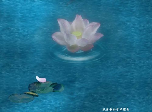 桃花源風景圖片