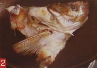 香菜春菜魚頭湯