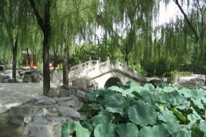 北京大觀園組圖（3）圖片