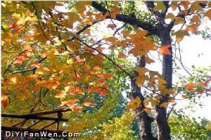 天平山圖片