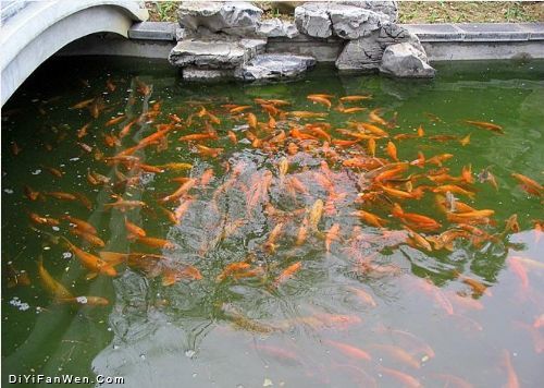 柳侯公園圖片