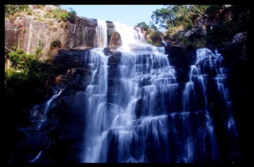 海南吊羅山森林公園圖片