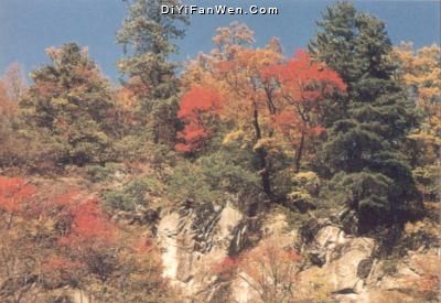 龍峪灣國家森林公園圖片