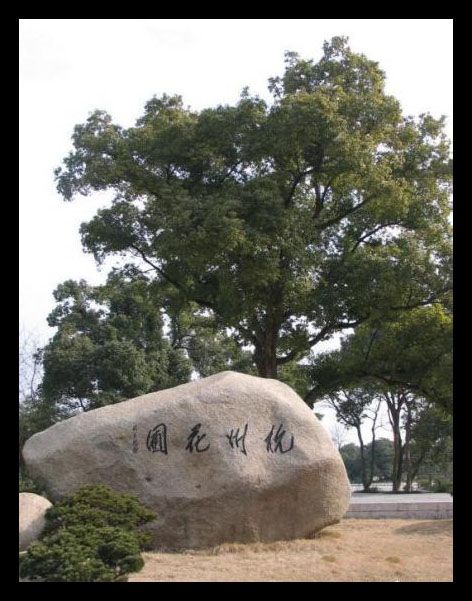 江蘇瓊花觀圖片