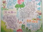 廉潔手抄報：一雙筷子何以毀掉一個國家