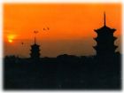 泉州開元寺