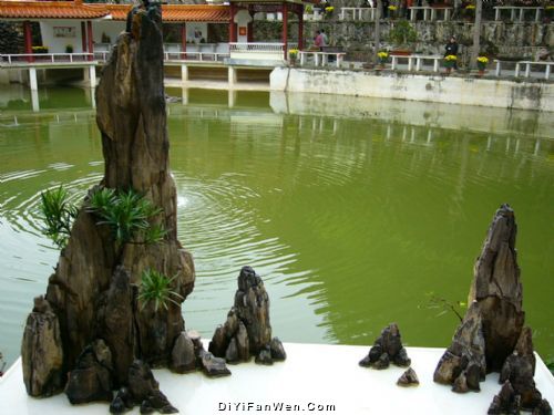仙湖植物園圖片